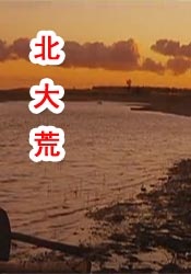 国产精品99久久免费观看